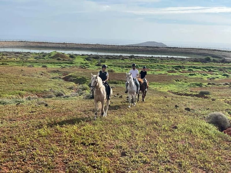 1 hour relaxing horse riding tour in Gran Canaria - Arriving at the riding center