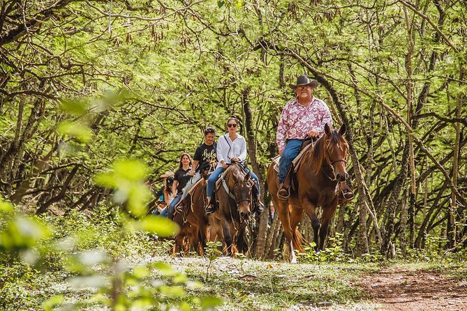 1 Hour Scenic Horseback Ride - A quiet horseback ride on Oahu’s North Shore