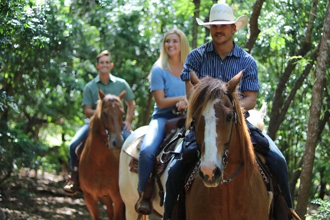 1 Hour Scenic Horseback Ride - What happens before you mount the horse
