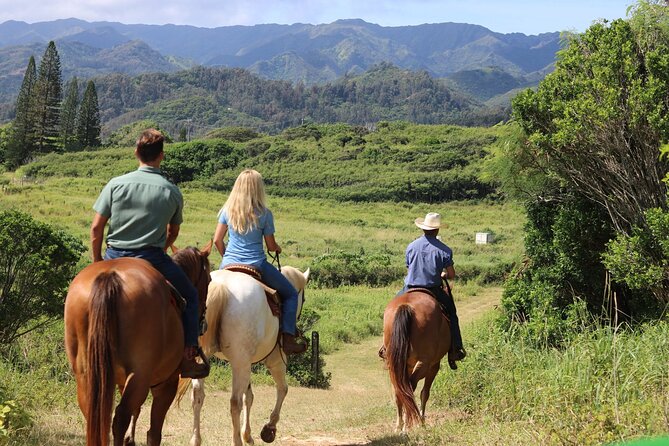 1 Hour Scenic Horseback Ride - Riding through pasture and forest
