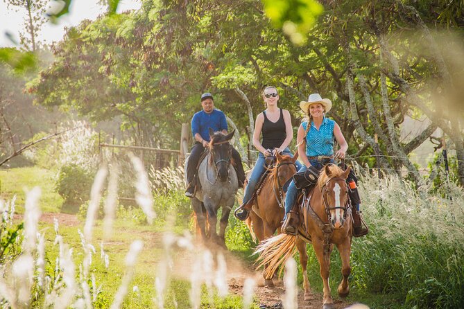 1 Hour Scenic Horseback Ride - The Hidden Cave, with an important catch