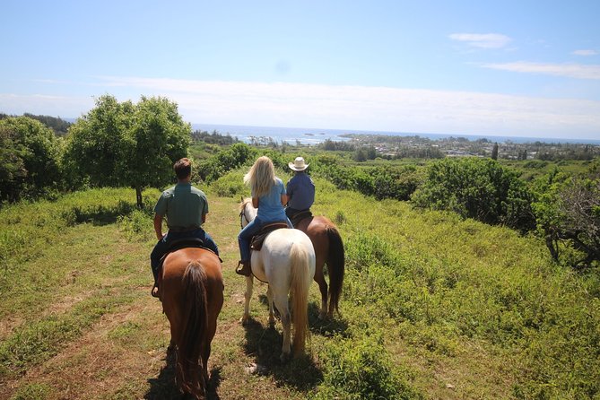 1 Hour Scenic Horseback Ride - Choosing a horse and meeting the wranglers