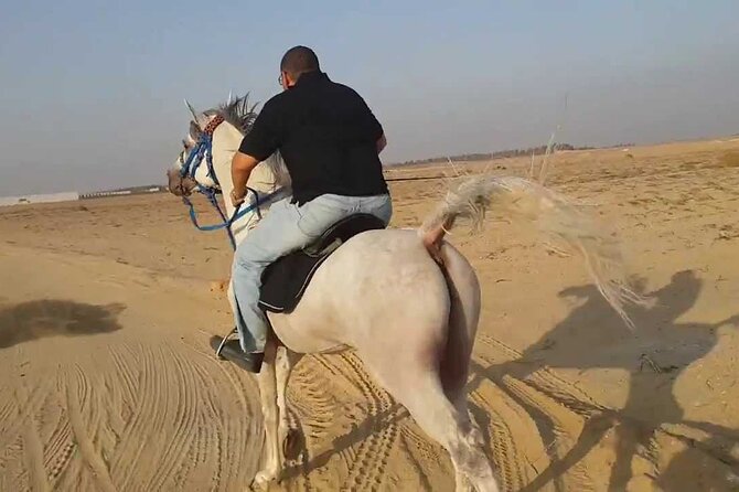 1 Hour Turkish Bath & 1 Hour Horseback Riding - Sharm El Sheikh - Timing, Transport, and the Shape of the Afternoon