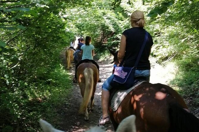 1 Hour Waterfalls Canyon Private Horse Riding in Smolyan - A short ride with a real mountain setting
