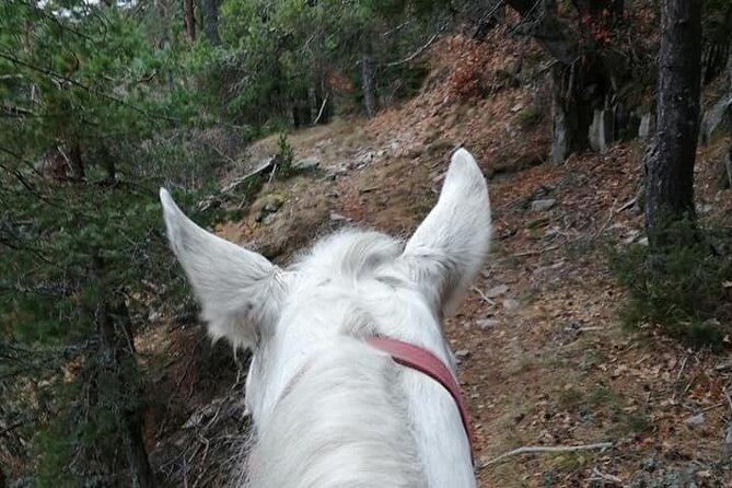 1 Hour Waterfalls Canyon Private Horse Riding in Smolyan - Pamporovo, Smolyan, and the mountain views