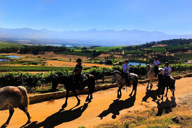 1h – Horse Trail - Riding out from Vrede en Lust Wine Estate