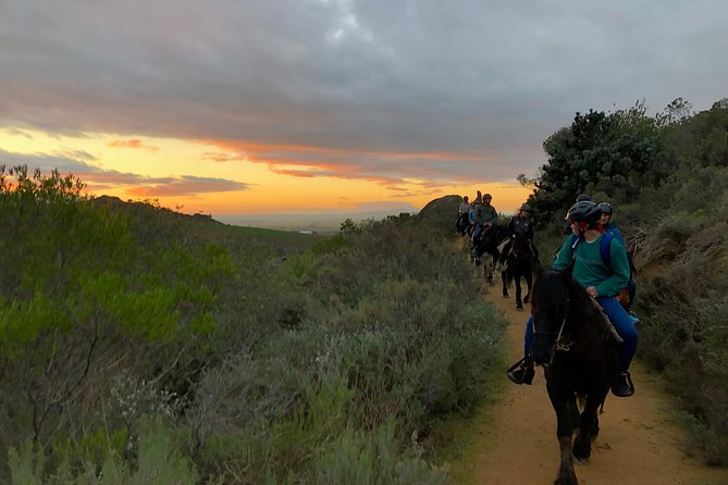 1h – Horse Trail - The guide makes the ride more than a photo stop