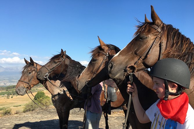 1h – Horse Trail - A good family outing, with a few limits