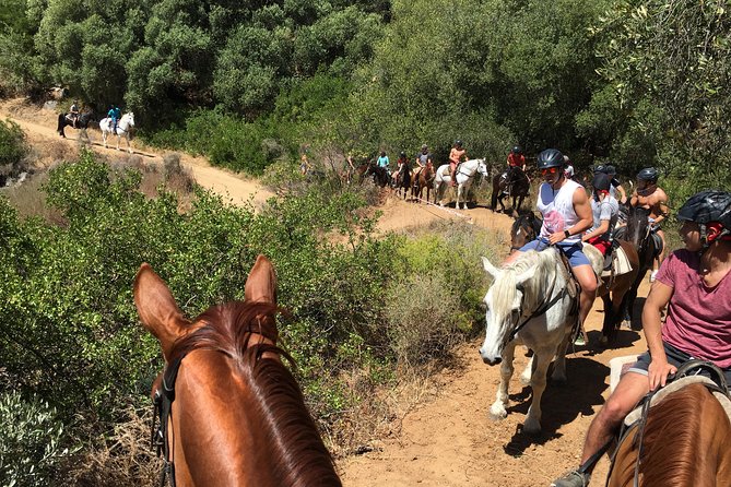 1h – Horse Trail - The value of $60.70 for one hour