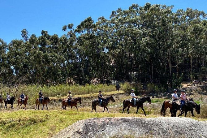 1h – Horse Trail - Who should book this horse trail