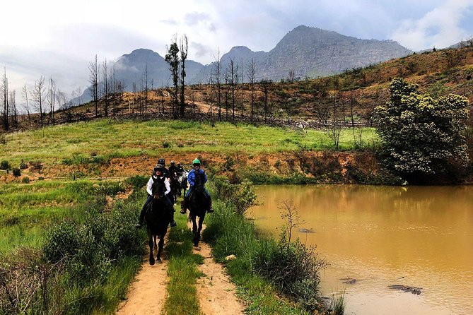1h30m – Horse Trail - Starting at Vrede en Lust Wine Estate