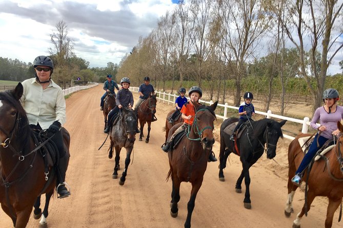 1h30m – Horse Trail - The vineyard and oak-tree section