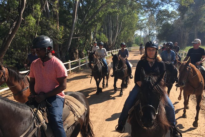 1h30m – Horse Trail - What the guide adds to the experience
