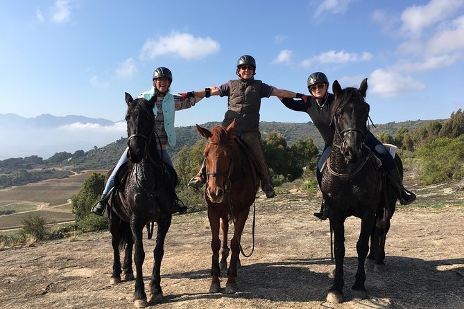 1h30m – Horse Trail - Is $112.74 a fair price?