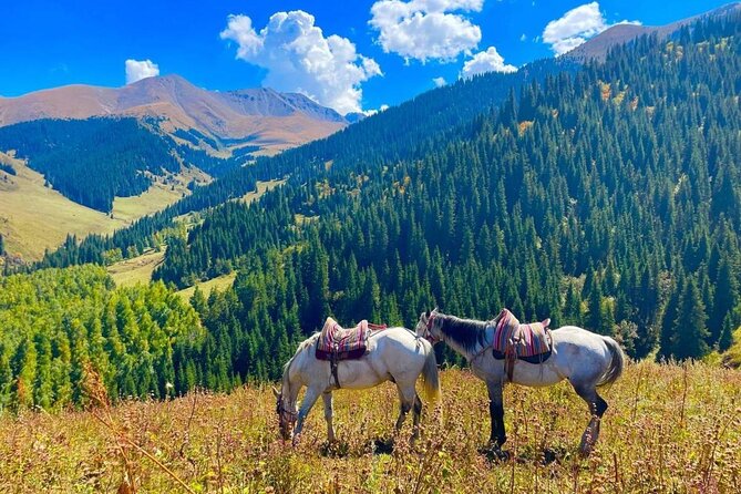 2-Day Adventure: Horseback Riding, Konorchek Canyons & Yurt Stay - Walking through the red rock of Konorchek Canyons