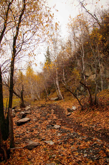 2 Day Horse trekking in Terelj national park - Chinggis Khaan’s statue and Zaisan Hill