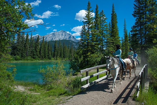 2 Hour Banff Horseback Riding Adventure - Into the marshes and up Sulphur Mountain