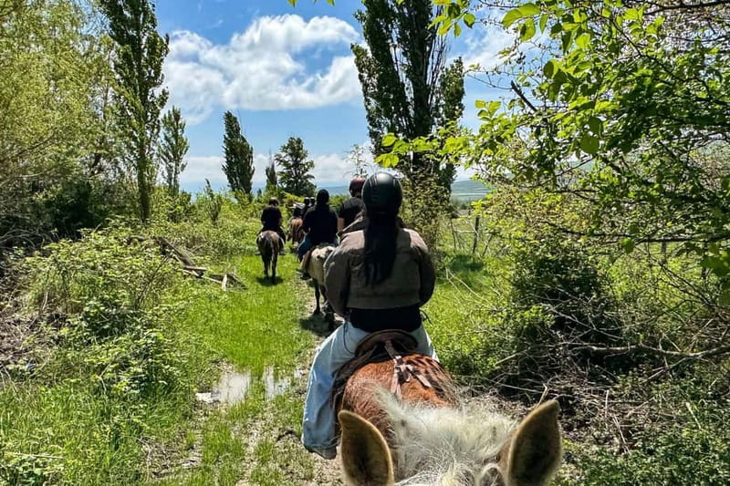 2-hour horse riding tour at Palomino Ranch Near Tbilisi - From Tbilisi traffic to Ferma’s open fields