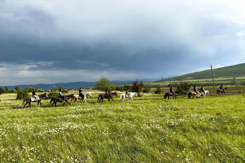 2-hour horse riding tour at Palomino Ranch Near Tbilisi - Riding through meadows and working farmland