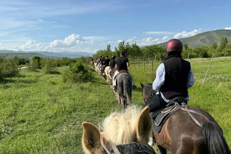 2-hour horse riding tour at Palomino Ranch Near Tbilisi - Should you book Palomino Ranch?