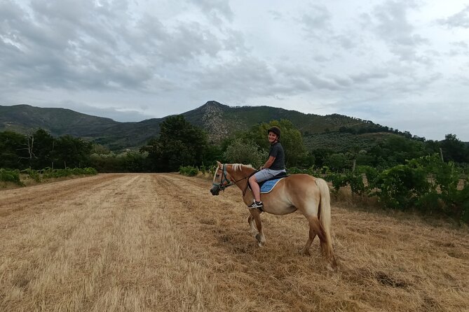2 hour horseback ride for experts in Valgraziosa (Pisa) - Crossing the Crespignano estate