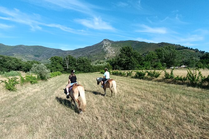 2 hour horseback ride for experts in Valgraziosa (Pisa) - The high view toward the sea