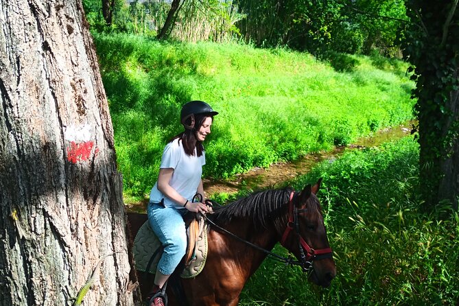 2 hour horseback ride for experts in Valgraziosa (Pisa) - The return loop to the riding center