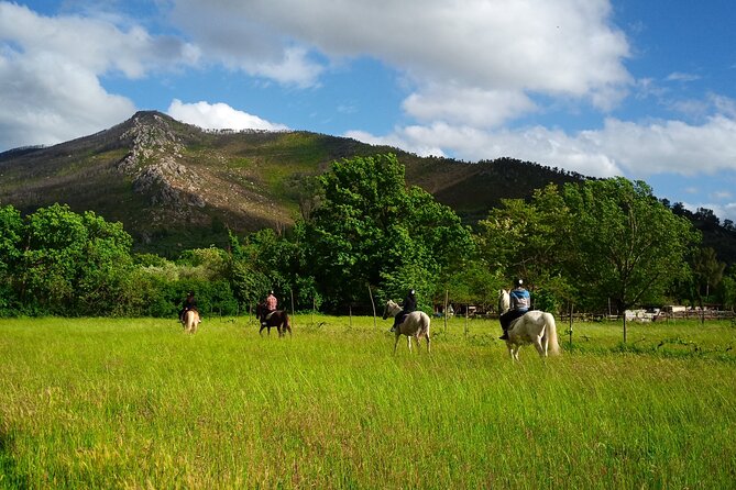 2 hour horseback ride for experts in Valgraziosa (Pisa) - How the $69.41 price measures up