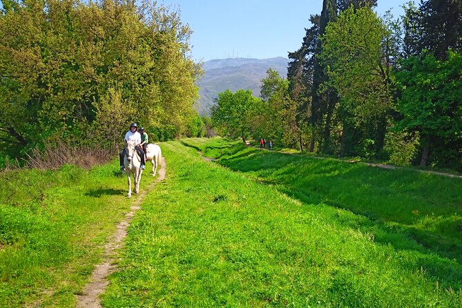 2 hour horseback ride for experts in Valgraziosa (Pisa) - What to wear and what is included