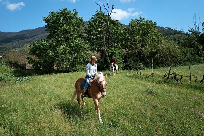2 hour horseback ride for experts in Valgraziosa (Pisa) - Reaching Certosa di Calci by horseback