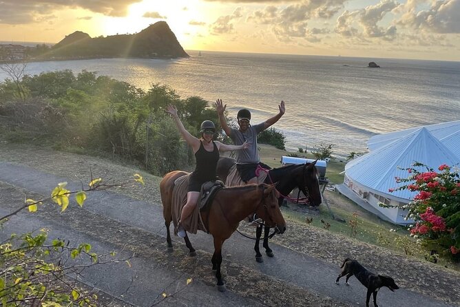2 Hour Horseback Riding Sunset Tour with Dore's Riding Stable - Key points to know before you ride