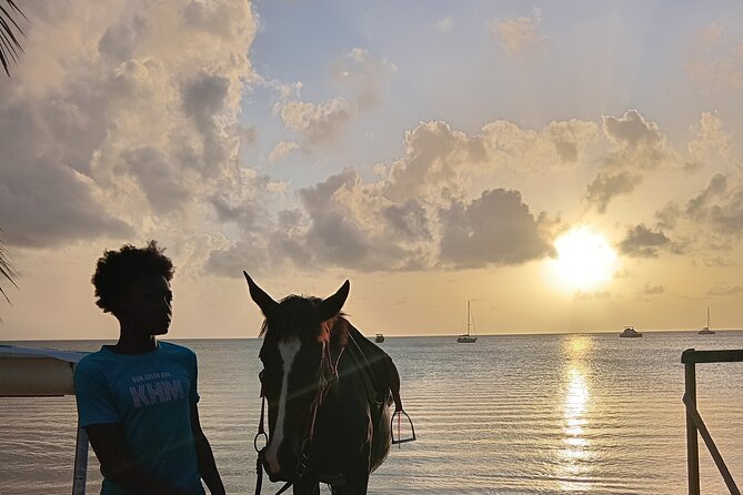 2 Hour Horseback Riding Sunset Tour with Dore's Riding Stable - The sunset swim and ride back