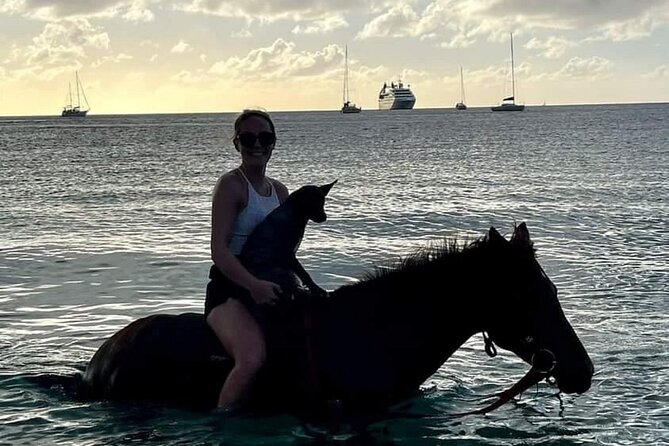 2 Hour Horseback Riding Sunset Tour with Dore's Riding Stable - What the $120 price buys you