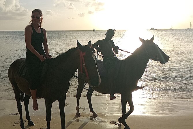 2 Hour Horseback Riding Sunset Tour with Dore's Riding Stable - Who should book this St. Lucia horseback tour