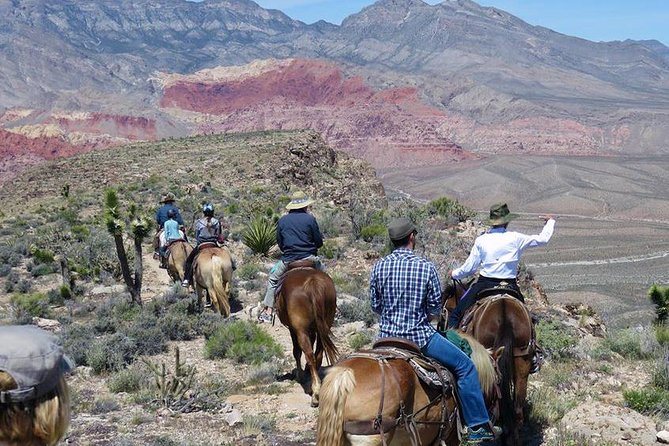 2-Hour Horseback Riding through Red Rock Canyon - Meeting your horse, or possibly your mule