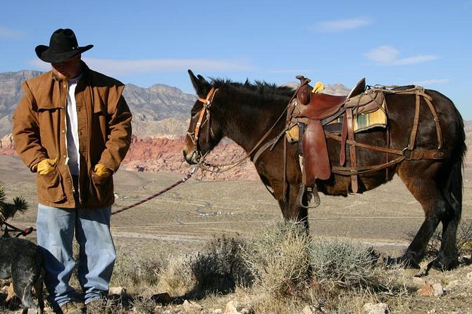 2-Hour Horseback Riding through Red Rock Canyon - Is the $149 price fair?