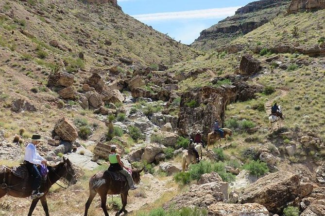 2-Hour Horseback Riding through Red Rock Canyon - Two hours on the Red Rock trail