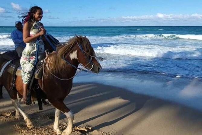 2-Hour Horseback Riding Tour at Sunset from Punta Cana - Is $77.95 good value for two hours?