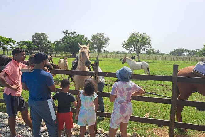 2-Hour Horseback Riding Tour at Sunset from Punta Cana - Should you book Rancho Un Regalo De Dios?