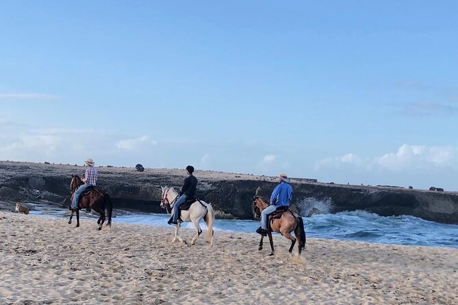 2-Hour Horseback Riding Tour to Little Natural Bridge in Aruba - Who will enjoy this ride most?