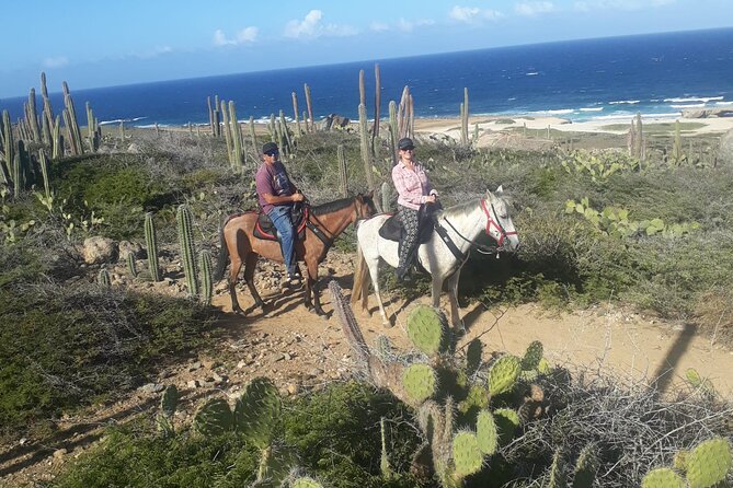 2-Hour Horseback Riding Tour to Little Natural Bridge in Aruba - How the guides and horses shape the experience
