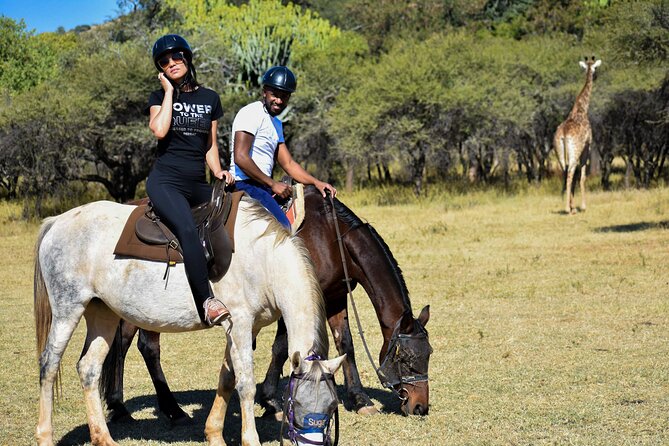 2-Hour Horseback Safari in Hartbeespoort - Key points before you book