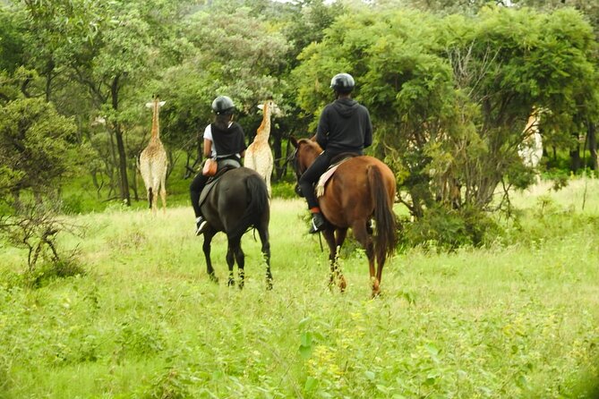 2-Hour Horseback Safari in Hartbeespoort - What the experience does especially well