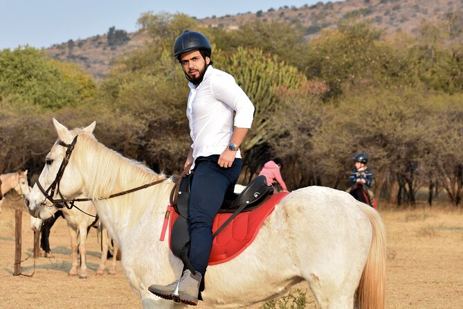 2-Hour Horseback Safari in Hartbeespoort - Meeting the horses and starting the trail