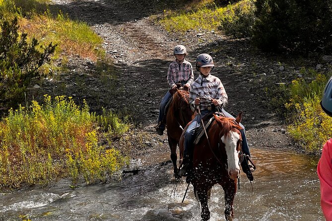 2 Hour Trail Ride in Montana Ranch Country - The view toward the Yellowstone River