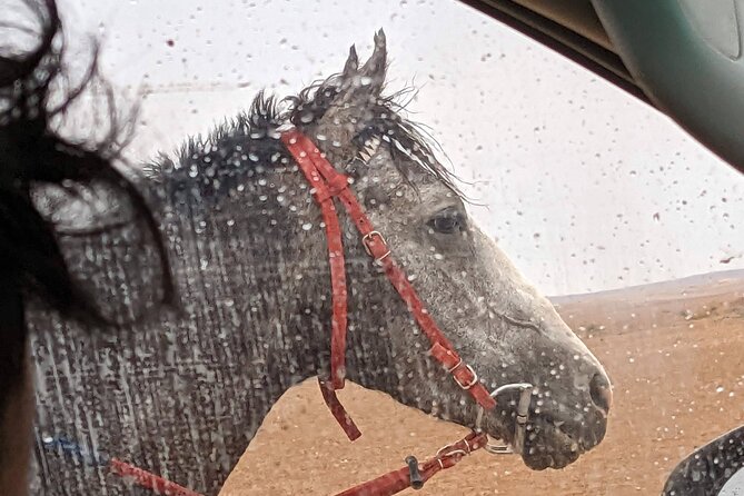 2 Hour Trail Ride to Little Petra-Morning or Sunset - Why the Small Group Size Matters