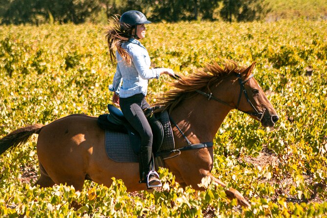 2 Hour Vineyard Trail Ride - Key points to know before you book