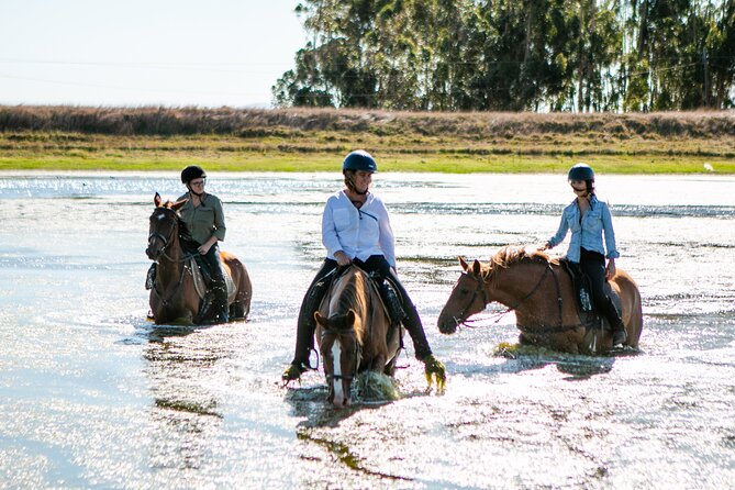 2 Hour Vineyard Trail Ride - Riding through Vredenheim’s vineyard country
