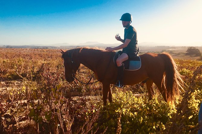 2 Hour Vineyard Trail Ride - Vredenheim offers more than the saddle