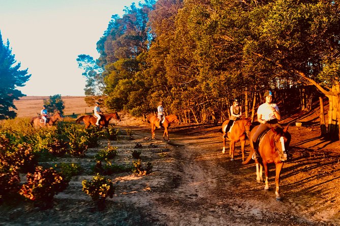 2 Hour Vineyard Trail Ride - Spier Wine Farm is nearby, but not part of the ride